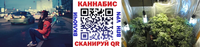 Каннабис Bruce Banner  Строитель 